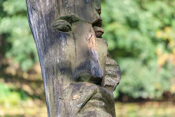 公園内の賢者の木彫 — ストック写真