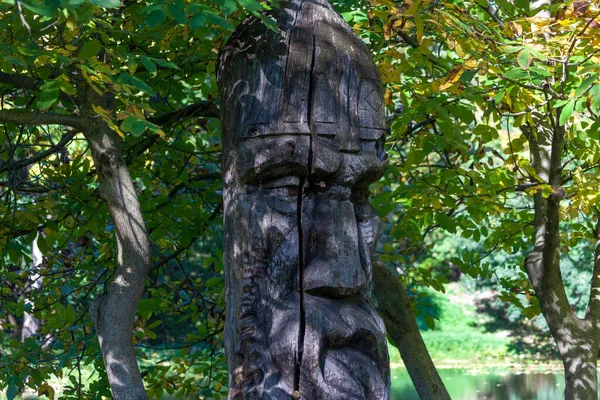 Dřevěná Socha Moudrého Vojáka Parku — Stock fotografie