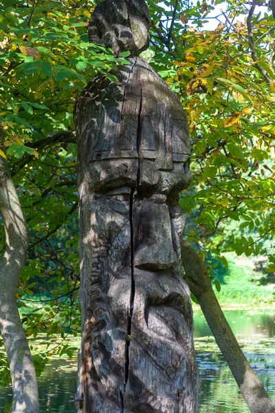 Escultura Madeira Soldado Sábio Parque — Fotografia de Stock