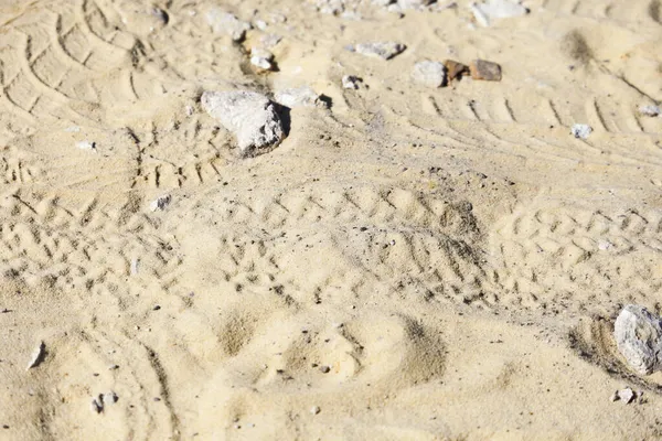Spuren Von Autoreifen Gelben Sand — Stockfoto