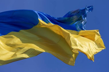 Ukrayna 'nın mavi ve sarı bayrağı gökyüzünde bayrak direğinde parktaydı.