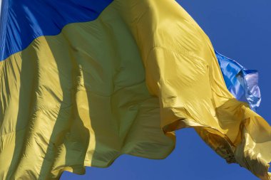 Ukrayna 'nın mavi ve sarı bayrağı gökyüzünde bayrak direğinde parktaydı.