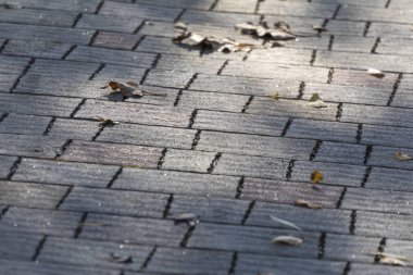 Arka planlar için beton kaldırım dokusu