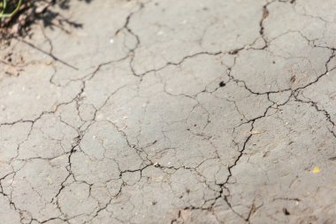 Parkta, gölgede kuru, çatlamış zemin.