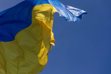 Ukrayna 'nın mavi ve sarı bayrağı gökyüzünde bayrak direğinde parktaydı.