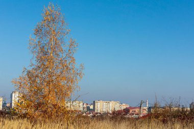 Şehrin yerleşim bölgesindeki çok katlı bir bina.