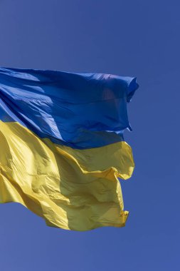 Ukrayna 'nın mavi ve sarı bayrağı gökyüzünde bayrak direğinde parktaydı.