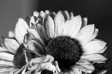 Odada yapay ayçiçeği çiçekleri