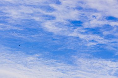 Sonbahar mavi gökyüzü ve beyaz bulutlar