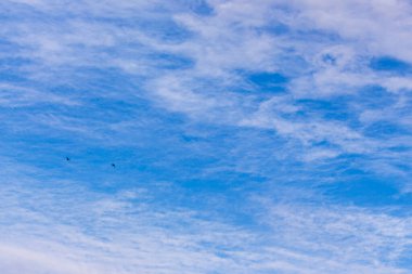 Sonbahar mavi gökyüzü ve beyaz bulutlar