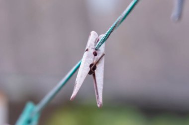 Giysileri dantelle kurutmak için renkli plastik klipsler.