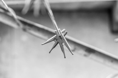 Giysileri dantelle kurutmak için renkli plastik klipsler.