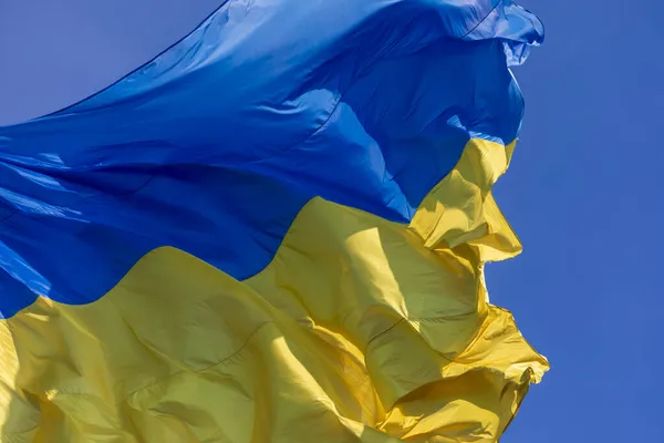 Staatliche Blau Gelbe Flagge Der Ukraine Park Auf Einem Fahnenmast — Stockfoto