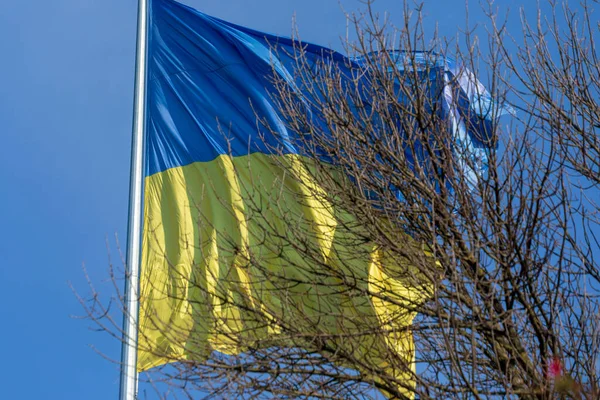 Státní Modrá Žlutá Vlajka Ukrajiny Parku Stožáru Proti Obloze — Stock fotografie