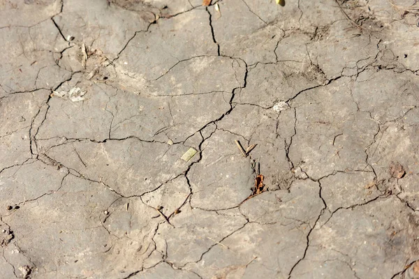日陰の公園の乾燥した割れた地面 — ストック写真