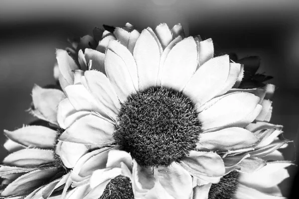Искусственные Цветы Подсолнечника Номере — стоковое фото