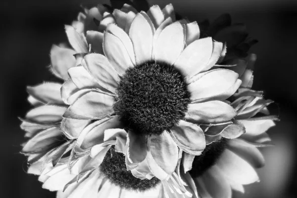 Artificial Sunflower Flowers Room — Stock Photo, Image