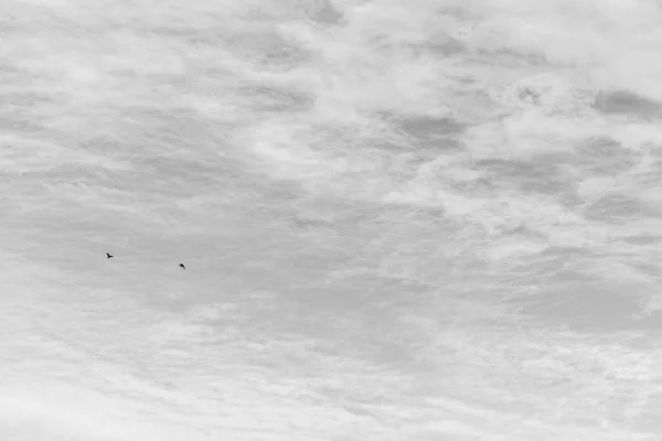 Cielo Azul Otoñal Nubes Blancas — Foto de Stock