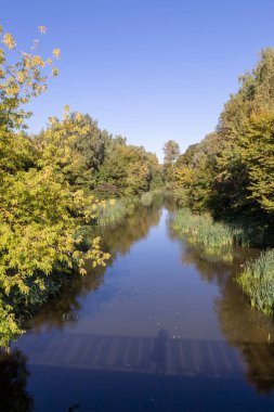 Ekim 'de parkta sonbahar manzarası
