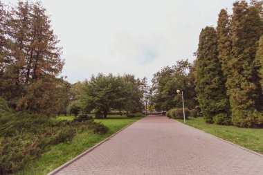 Ekim 'de parkta sonbahar manzarası