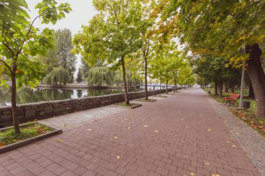 Ekim 'de parkta sonbahar manzarası