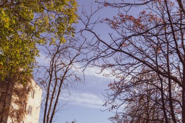 Ekim 'de parkta sonbahar manzarası