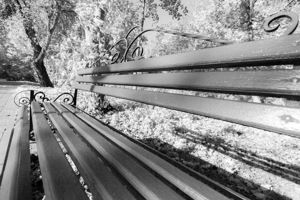 Träbänk Höstparken Oktober — Stockfoto