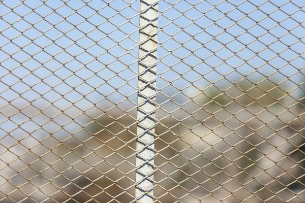 Texture Cradled Metal Synthetic Mesh Fence Backgrounds — Stock Photo, Image