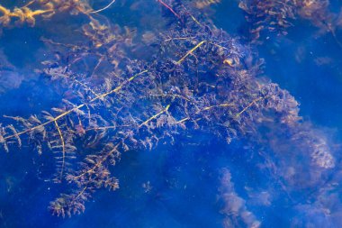 Göldeki bir fırtına sırasında dalgaların dokusu