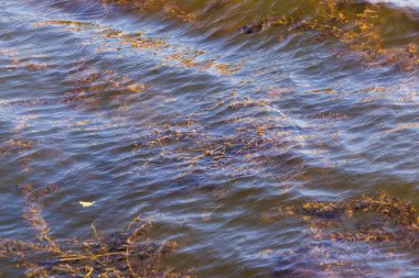 Göldeki bir fırtına sırasında dalgaların dokusu