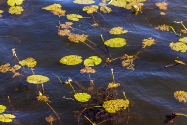 Göldeki bir fırtına sırasında dalgaların dokusu