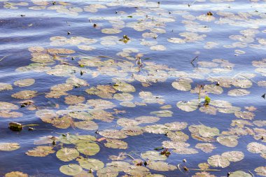 Göldeki bir fırtına sırasında dalgaların dokusu