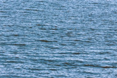 Göldeki bir fırtına sırasında dalgaların dokusu