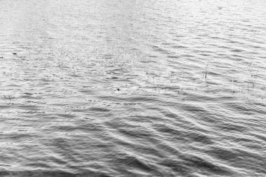 Göldeki bir fırtına sırasında dalgaların dokusu