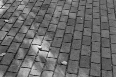 Kaldırımda arka planda beton kaldırımlar