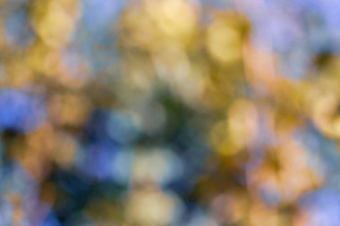 Renkli ışık ışınları ve parıltı bahçedeki sönük ışıkta.