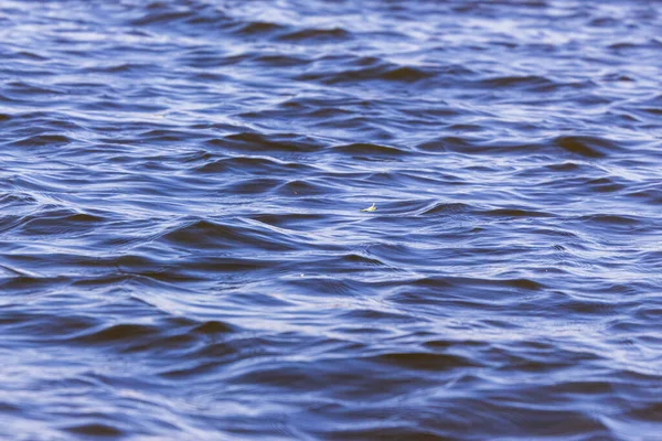 Textura Ondas Durante Uma Tempestade Lago — Fotografia de Stock