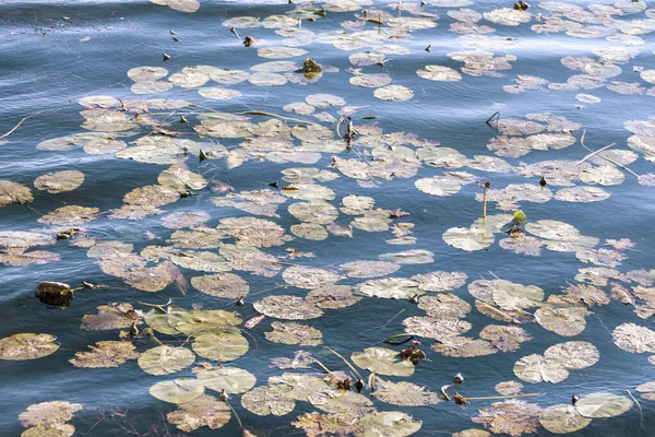 Texture Waves Storm Lake — Stock Photo, Image