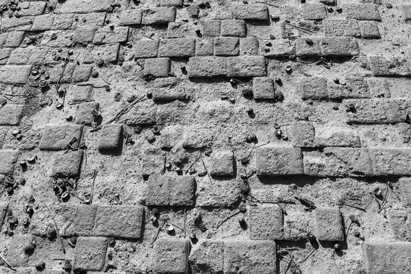 背景のための古い破壊されたコンクリート舗装のテクスチャ — ストック写真