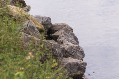 Gölün kenarında büyük gri-sarı taşlar.