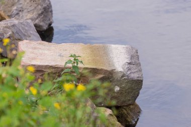 Gölün kenarında büyük gri-sarı taşlar.