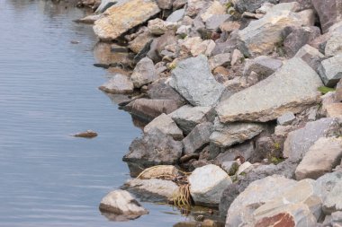 Gölün kenarında büyük gri-sarı taşlar.