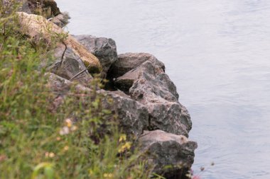 Gölün kenarında büyük gri-sarı taşlar.