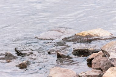 Gölün kenarında büyük gri-sarı taşlar.