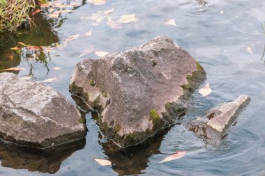 Gölün kenarında büyük gri-sarı taşlar.