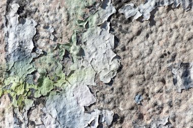 Beton bir duvardaki eski çatlak boya.