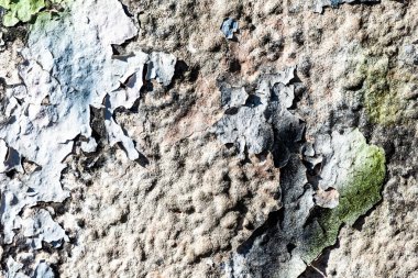 Beton bir duvardaki eski çatlak boya.