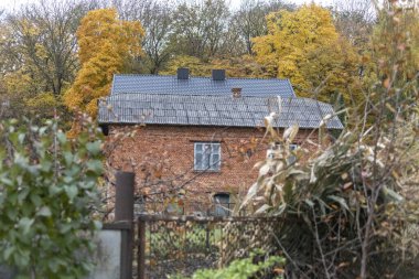 Sonbaharda sokakta özel evler ve güzel orman ve sarı yaprakların arka planı.