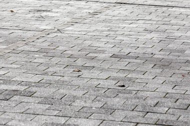 Parktaki arka planlar için beton kaldırım dokusu