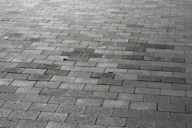Parktaki arka planlar için beton kaldırım dokusu